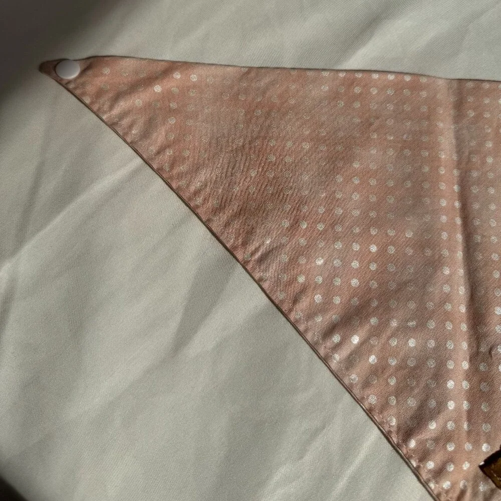 EUC, Canoodle Polka Dot Pattern Dog Bandana, White and Pink, Size M